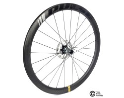 Pulse® Harmony